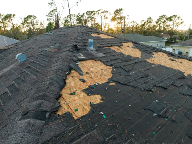 Best Chimney Flashing Repair  in Sunbury, PA